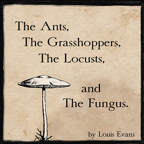 Gallery of Curiosities - The Instant